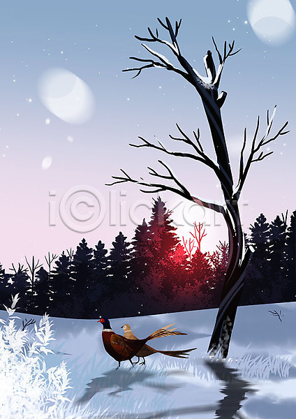사람없음 PSD 일러스트 겨울 겨울배경 까투리 꿩 나무 눈 동물 두마리 백그라운드 설원 식물 자연 초원(자연) 풍경(경치) 햇빛