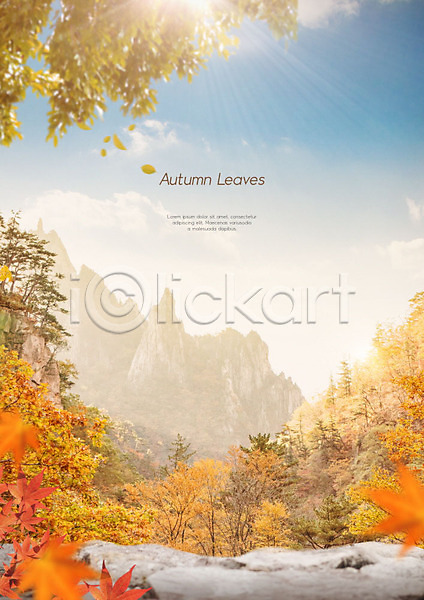 따뜻함 사람없음 PSD 편집이미지 가을(계절) 가을풍경 갈색 구름(자연) 나무 낙엽 단풍 단풍나무 산 자연 하늘 햇빛