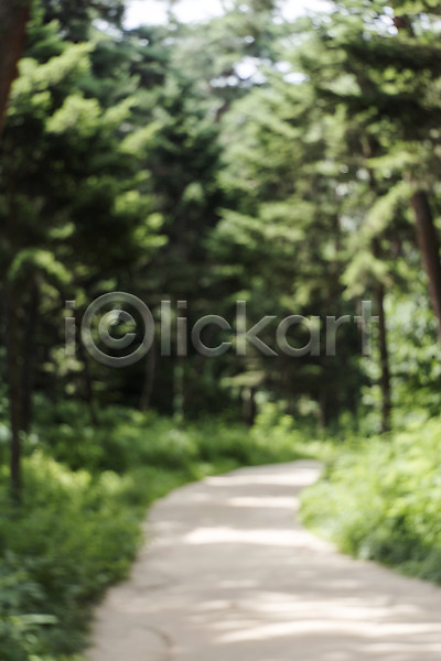 사람없음 JPG 아웃포커스 포토 나무 백그라운드 산책로 야외 여주(지역) 자연 주간 편집소스 풍경(경치)