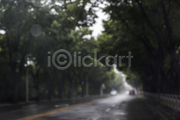 사람없음 JPG 아웃포커스 포토 나무 도로 도시 백그라운드 비(날씨) 야외 여러개 주간 편집소스 풍경(경치)