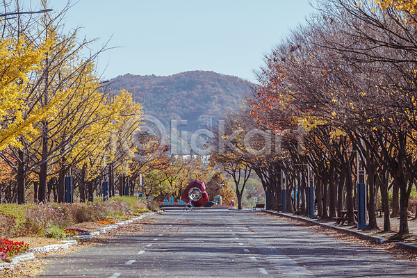 사람없음 JPG 포토 가을(계절) 가을풍경 경기도 관목 도로 산 야외 은행나무 인천 인천대공원 조형물 주간