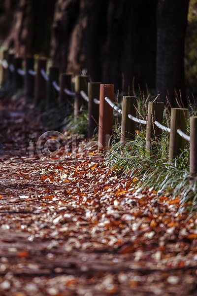 사람없음 JPG 소프트포커스 아웃포커스 포토 가을(계절) 가을풍경 경기도 길 낙엽 야외 울타리 인천 인천대공원 주간