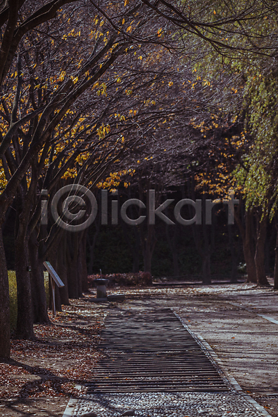 사람없음 JPG 포토 가을(계절) 가을풍경 경기도 단풍나무 산책로 야외 인천 인천대공원 주간 표지판