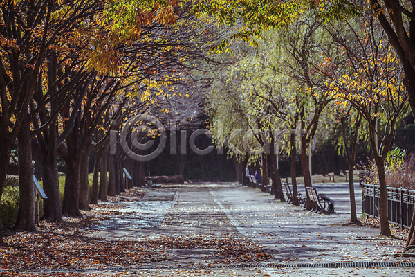 사람없음 JPG 포토 가을(계절) 가을풍경 경기도 단풍나무 벤치 산책로 야외 인천 인천대공원 주간