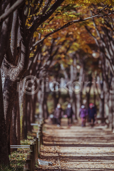 사람 여러명 JPG 아웃포커스 앞모습 포토 가을(계절) 가을풍경 경기도 단풍나무 산책로 숲길 야외 인천 인천대공원 주간