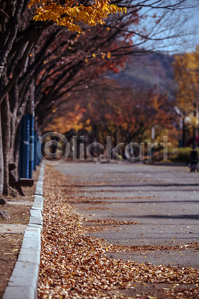사람없음 JPG 아웃포커스 포토 가을(계절) 가을풍경 경기도 낙엽 도로 야외 인천 인천대공원 주간