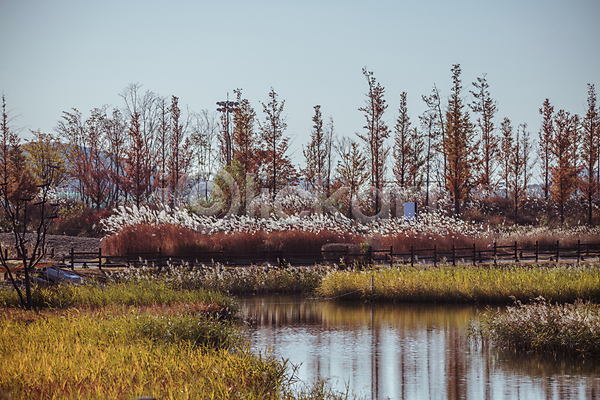 사람없음 JPG 포토 가을(계절) 가을풍경 갯골생태공원 경기도 산책로 시흥 야외 주간 하늘 호수