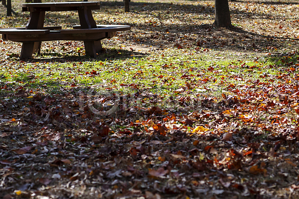 분위기 사람없음 JPG 포토 가을(계절) 가을풍경 경기도 공원 그늘 낙엽 땅바닥 야외 야외테이블 인천 주간