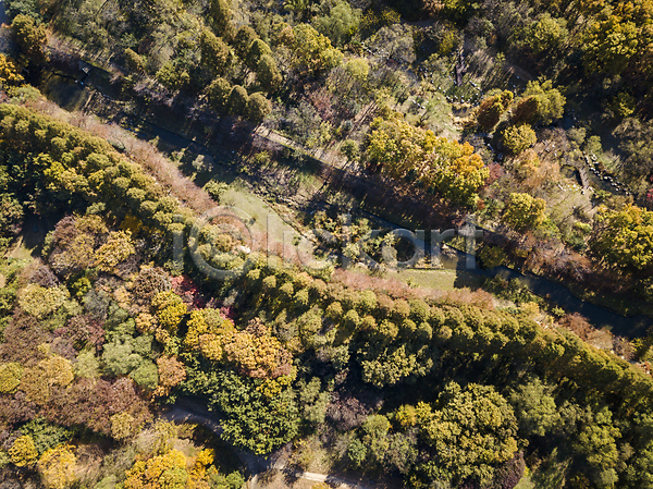 분위기 사람없음 JPG 포토 하이앵글 항공촬영 가을(계절) 가을풍경 경기도 나무 숲 시흥 야외 전경 주간
