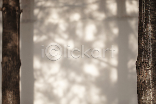 사람없음 JPG 포토 그림자 나무 야외 여름(계절) 일산 주간 햇빛