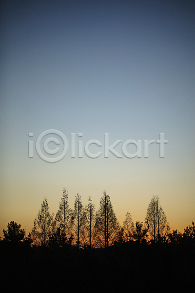 사람없음 JPG 실루엣 포토 가로수 나무 도시풍경 숲 야간 야외 일몰 일산 하늘