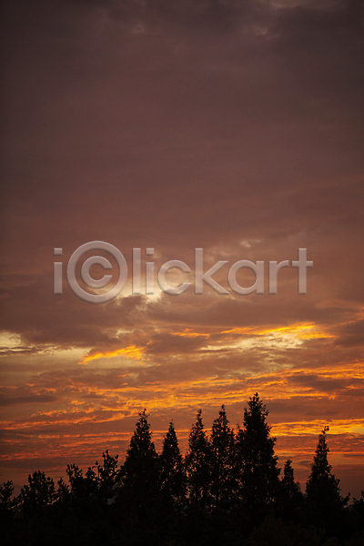 사람없음 JPG 실루엣 포토 구름(자연) 노을 담양 숲 야간 야외 여름밤 일몰 풍경(경치) 하늘
