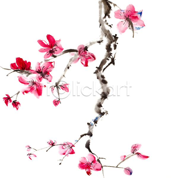 사람없음 JPG 포토 해외이미지 그림 꽃가지 동양화 먹 미술 번짐 벚꽃 붓터치 빨간색