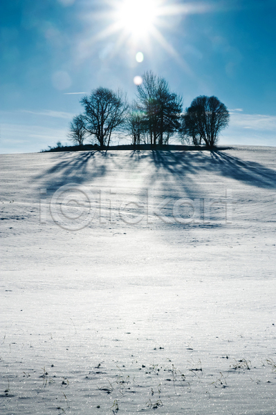 신선 추위 사람없음 JPG 포토 해외이미지 12월 겨울 계절 구름(자연) 나무 냉동 맑음 반투명 뷰티 세로 숲 시골 야외 언덕 얼음 오스트리아 자연 카피스페이스 태양 파란색 풍경(경치) 하늘 햇빛 흰색