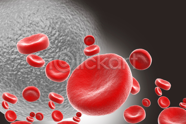 사람없음 3D JPG 포토 해외이미지 세포 적혈구 혈구