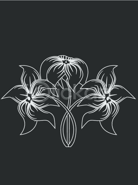 EPS 실루엣 일러스트 해외이미지 검은색 그래픽 그림 꽃 디자인 문신 백그라운드 자연 장식 줄기 추상 회색