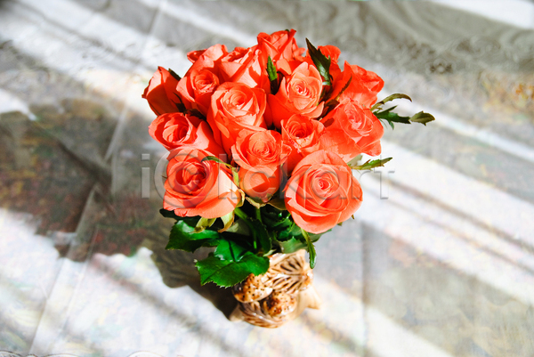 사람없음 JPG 포토 하이앵글 해외이미지 꽃 꽃다발 빨간색 장미 화분