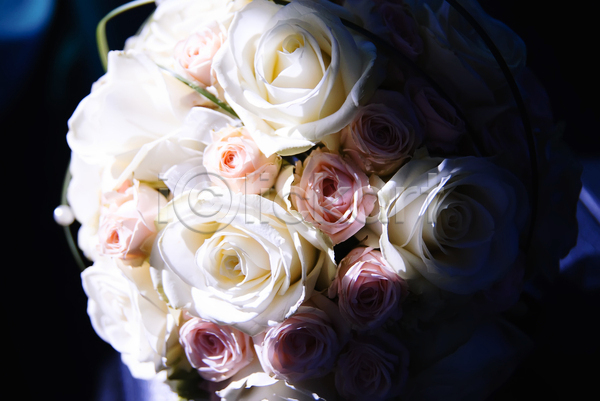 축하 사람없음 JPG 포토 해외이미지 가운 결혼 꽃 꽃다발 발렌타인데이 신혼부부 자연 장미 장식 흰색