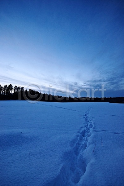사람없음 JPG 포토 해외이미지 겨울 구름(자연) 나무 동물 얼음 트랙 파란색 하늘