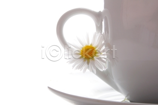 사람없음 JPG 근접촬영 포토 해외이미지 꽃 실내 찻잔 컵받침 흰배경