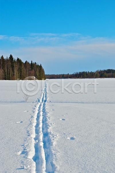 사람없음 JPG 포토 해외이미지 겨울 나무 맑음 숲 스키 얼음 트랙 파란색 흰색
