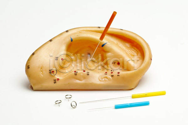 사람없음 JPG 포토 해외이미지 귀 모형 오브젝트 침술 한방용품 한의학 흰배경