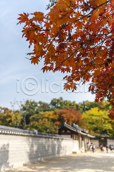 사람없음 JPG 포토 가을(계절) 가을풍경 경복궁 국내여행 낙엽 단풍 단풍나무 서울 야외 여행 주간 풍경(경치)