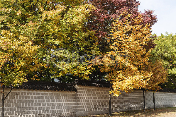 사람없음 JPG 포토 가을(계절) 가을풍경 경복궁 국내여행 궁전 낙엽 단풍 단풍나무 서울 야외 여행 주간 풍경(경치)