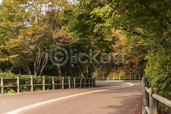 사람없음 JPG 포토 가을(계절) 가을풍경 국내여행 낙엽 남산 단풍 산책로 서울 야외 여행 주간 풍경(경치)