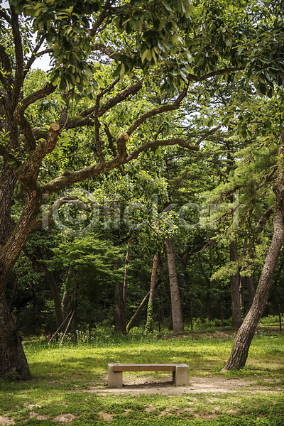 휴식 사람없음 JPG 포토 공원 나무 벤치 소나무 야외 여름(계절) 울타리 의자 자연 잔디 조용함 주간 풍경(경치) 휴식처 힐링