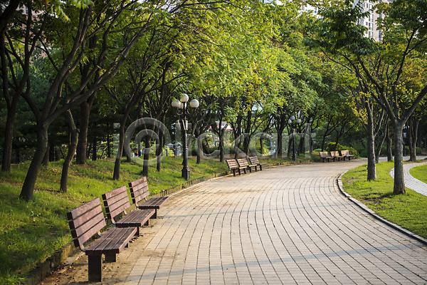 휴식 사람없음 JPG 포토 가로등 공원 길 나무 벤치 야외 여름(계절) 의자 자연 잔디 조용함 주간 풍경(경치) 휴식처 힐링