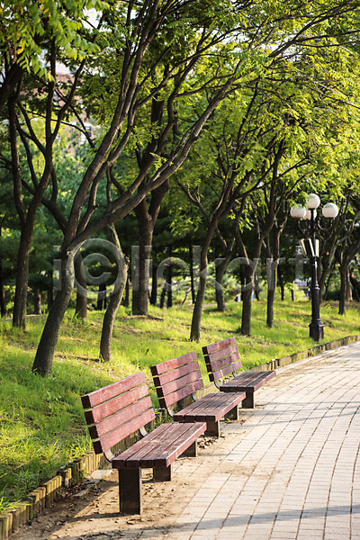 휴식 사람없음 JPG 포토 가로등 공원 길 나무 벤치 야외 여름(계절) 의자 자연 잔디 조용함 주간 풍경(경치) 휴식처 힐링