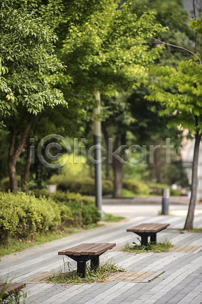 휴식 사람없음 JPG 아웃포커스 포토 가로등 공원 나무 벤치 야외 여름(계절) 의자 자연 잔디 조용함 주간 풍경(경치) 휴식처 힐링