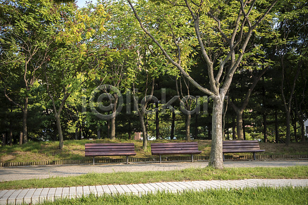 휴식 사람없음 JPG 포토 공원 길 나무 벤치 야외 여름(계절) 의자 자연 잔디 조용함 주간 풍경(경치) 휴식처 힐링