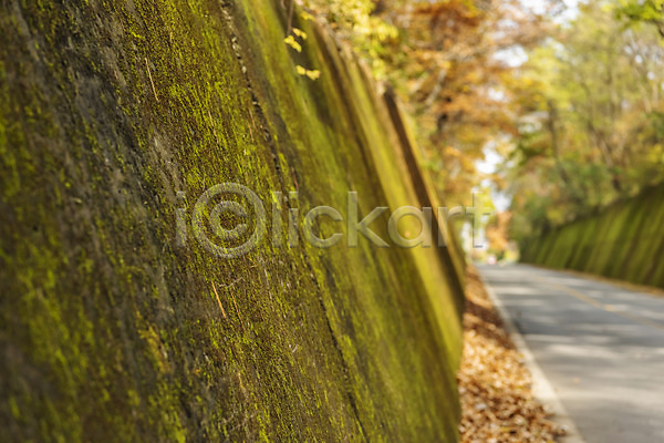 사람없음 JPG 포토 가을(계절) 가을여행 가을풍경 국내여행 낙엽 단양 단풍 단풍나무 야외 여행 이끼 이끼터널 자연 주간 풍경(경치)