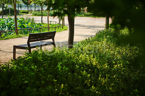 여유 휴식 사람없음 JPG 포토 공원 나무 벤치 야외 조용함 주간 풀(식물) 휴식처 힐링
