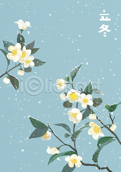 사람없음 PSD 일러스트 겨울 겨울꽃 겨울풍경 꽃 나뭇가지 눈(날씨) 상록수 서리 수채화(물감) 식물 입동 자연 차나무 풍경화 하늘색 한자