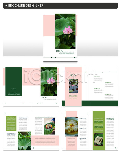 사람없음 INDD ZIP 인디자인 템플릿 라이프 리플렛 연꽃(꽃) 연분홍색 연잎 연잎밥 초록색 팜플렛