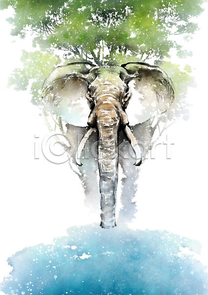 보호 사람없음 PSD 일러스트 나무 동물 물 번짐 붓터치 생태계 식물 자연 캘리그라피 코끼리 풍경(경치) 한마리