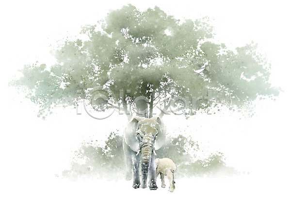 보호 사람없음 PSD 일러스트 나무 동물 두마리 번짐 붓터치 생태계 식물 자연 캘리그라피 코끼리 풀(식물) 풍경(경치)