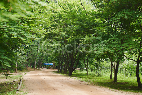 사람없음 JPG 포토 관광지 나무 산책로 숲 야외 여름(계절) 여행 유적지 주간 파주 파주삼릉 풍경(경치) 한국 한국전통