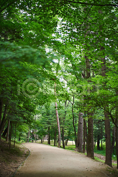 사람없음 JPG 포토 관광지 나무 산책로 숲 야외 여름(계절) 여행 유적지 주간 파주 파주삼릉 풍경(경치) 한국 한국전통