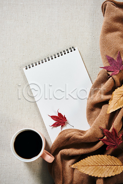 감성 사람없음 JPG 포토 하이앵글 가을(계절) 공책 낙엽 단풍 담요 스튜디오촬영 실내 오브젝트 커피 플랫레이