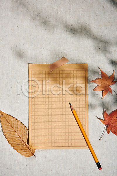 감성 사람없음 JPG 포토 하이앵글 가을(계절) 낙엽 단풍 스튜디오촬영 실내 연필 오브젝트 원고지 플랫레이