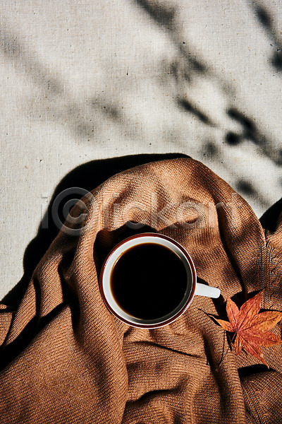 감성 사람없음 JPG 포토 하이앵글 가을(계절) 낙엽 단풍 담요 스튜디오촬영 실내 오브젝트 커피 플랫레이