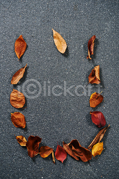 감성 사람없음 JPG 포토 하이앵글 가을(계절) 낙엽 단풍 스튜디오촬영 실내 오브젝트 플랫레이