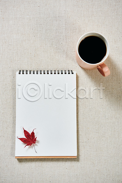 감성 사람없음 JPG 포토 하이앵글 가을(계절) 공책 낙엽 단풍 스튜디오촬영 실내 오브젝트 커피 플랫레이