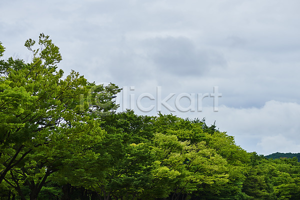 사람없음 JPG 포토 구름(자연) 나무 날씨 야외 자연 장마 주간 풍경(경치) 환경 흐림