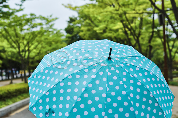 사람없음 JPG 근접촬영 아웃포커스 포토 공원 나무 날씨 물방울무늬 비(날씨) 야외 우산 자연 장마 주간 풍경(경치) 환경 흐림