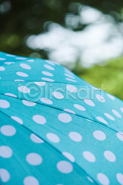 사람없음 JPG 근접촬영 아웃포커스 포토 날씨 물방울무늬 비(날씨) 야외 우산 자연 장마 주간 풍경(경치) 환경 흐림